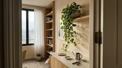 Où placer un pothos pour qu’il retombe vraiment et fasse de longues tiges