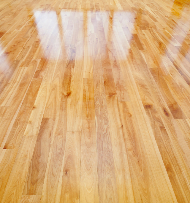 https://renovationjpr.ca/wp-content/uploads/2024/07/Service-hardwood-floor-sanding-1048x684-1-640x684.png